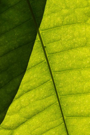 grenusphoto, Oliver Grenus